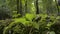 Close up green plants growing on the ground with a man hiking in tropical rain forest.