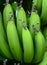 Close-up of green raw banana