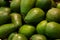 Close-up of green ripe avocado exotic fruits