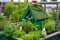 close-up of green rooftop with birdhouse and garden gnome