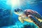 Close-up of a green sea turtle swimming underwater