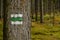 Close-up of green tourist signs painted on a tree trunk.