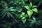 Close-up greenery, foliage and leaves, texture top view, illustration. Generative AI