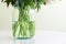 Close-up gren fresh flower bouquet stem in transparent glass jar vase with clean water on table in room indoor. Details bootom