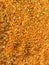 A close up of grinded golden corn, chicken feed, a background