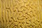 Close-up of grooved brain coral labyrinth