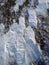 Close-up of the ground where the wind swept away the snow cover