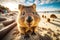 Close up of groundhog on beach with other groundhogs in the background. Generative AI