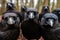 Close up of a group of black Raven selfie. generative ai