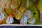 Close up of group of Discus fish in tropical aquariums