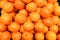 Close up group of mandarin oranges in the market