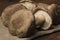 Close up of a group of mushrooms