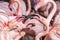 Close-up group portrait of pink flamingos with beaks open