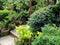 Close up group of potted flowers arrangement in garden in Thaila