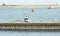 Close up of group seagulls fighting, on the pier in marina with sea in background.