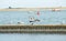 Close up of group seagulls fighting, on the pier in marina with sea in background.