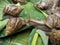 Close-up of group snails insect on green leaves