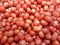 Close up group of stacked tomatoes,beautiful tomato background