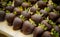 Close up of group of strawberries covered in dark chocolate
