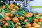Close Up of a Group of Tangerines at Italian Market