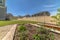 Close up of growbeds at the sunny backyard of a home with gravel and grasses