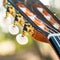 Close-up of the guitar head of a classical guitar with gold pegs. Part of a classical guitar on a blurry background in the park.