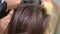 Close-up hairdresser applying moisturizer on long brunette hair separating strand. Unrecognizable expert woman doing