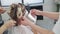Close up, hairdressers do hair coloring for woman in beauty studio