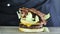 Close-up of a half bun for a burger with lettuce cutlets on top and two slices of cheese fried with a gas burner on top