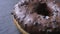 Close-up half-shot of attractive glazed brown donut with chocolate chips spinning slowly on gray table background.