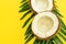 Close up of Halves of fresh raw coconut  on bright yellow background. Top view, flat lay