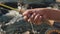 Close up of the hand of an asian women holding a fly fishing rod and stripping fly line