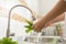 Close-up of hand Asian women wash vegetable in the kitchen and preparation for food lettuce at home morning time