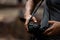 Close up hand and butterfly.  Professional photographer man holding camera for taking butterfly in the green jungle rain forest na