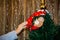 Close Up of a Hand Dressing The Christmas Tree With Homemade Dec