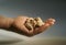 Close-up of a hand full of peanuts