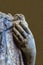 Close-up of hand of grungy old marble Greek or Roman statue holding a chipped and broken owl