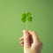 Close-up of a hand holding a four-leaf clover against a green background