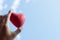 Close up Hand holding the red decorative heart against the blue sky