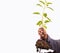 Close up of hand little boy hold plant tree