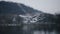 Close up of hand of man or woman feeding gulls on shore on cloudy day. Beautiful city landscape. Unity with nature in