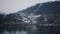 Close up of hand of man or woman feeding gulls on shore on cloudy day. Beautiful city landscape. Unity with nature in