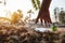 Close up Hand picking up clear plastic bottle water drink with a green cap on the road in the park at blurred background, Trash