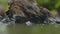 Close-up of a hand picking up garbage from the river, water. An eco-activist collects a crumpled recycling jar from