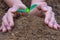 Close up hand planting tree into the dry soil. Earth day. World environment day. Ozone day