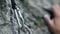 Close up of a hand rock climbing in nature