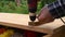 Close-up of a hand screwdriver in a tree. Wood drilling.