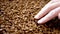 Close up, Hand Touching Dry Pet Food in Rays of Sunlight on Rotating Background