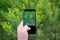 Close-up hand using a phone, photographs wildflowers on a background of green grass