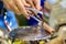 Close up hand of vendor during cooking for Crispy roll or tootsie Thai snack, Thai dessert Thai style food called \